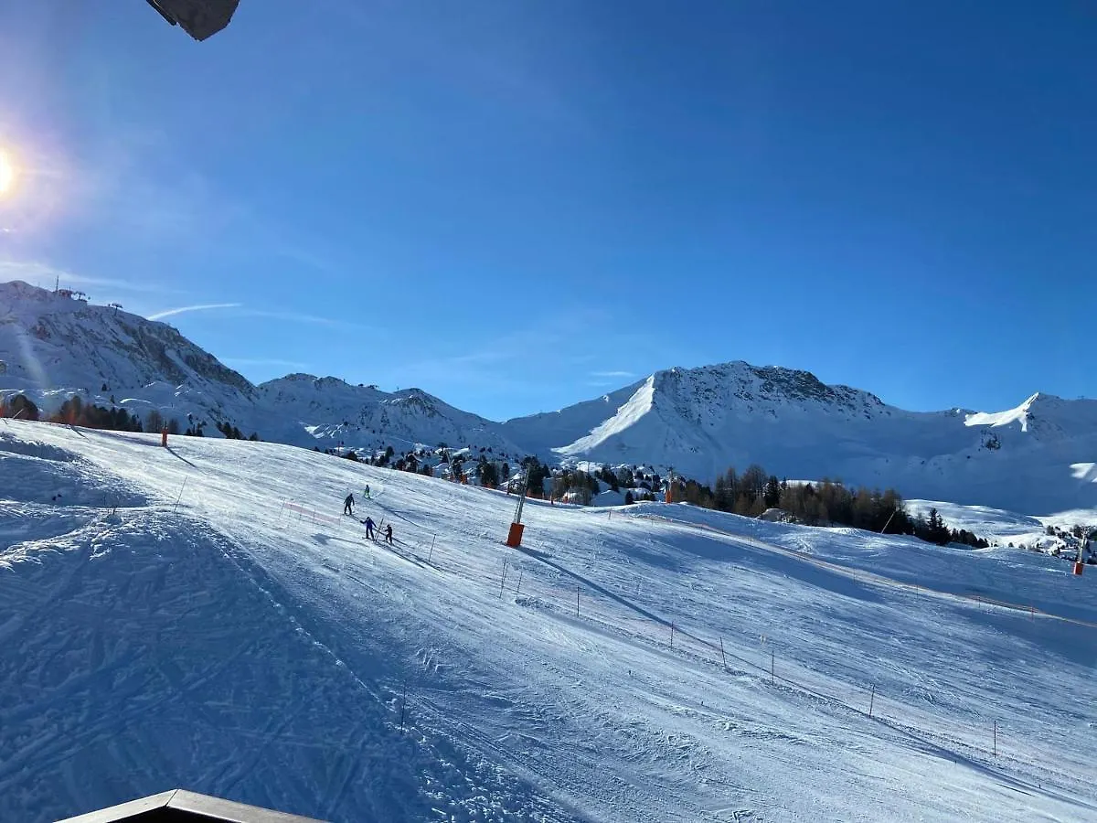 Duplex Calme Au Pied Des Pistes, Balcon Et Animaux Acceptes - Fr-1-455-232 Apartment La Plagne-Tarentaise