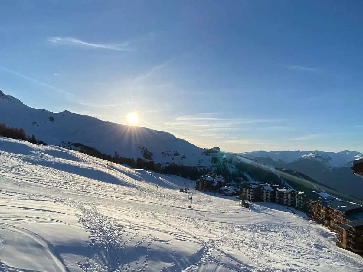 Duplex Calme Au Pied Des Pistes, Balcon Et Animaux Acceptes - Fr-1-455-232 Apartment La Plagne-Tarentaise