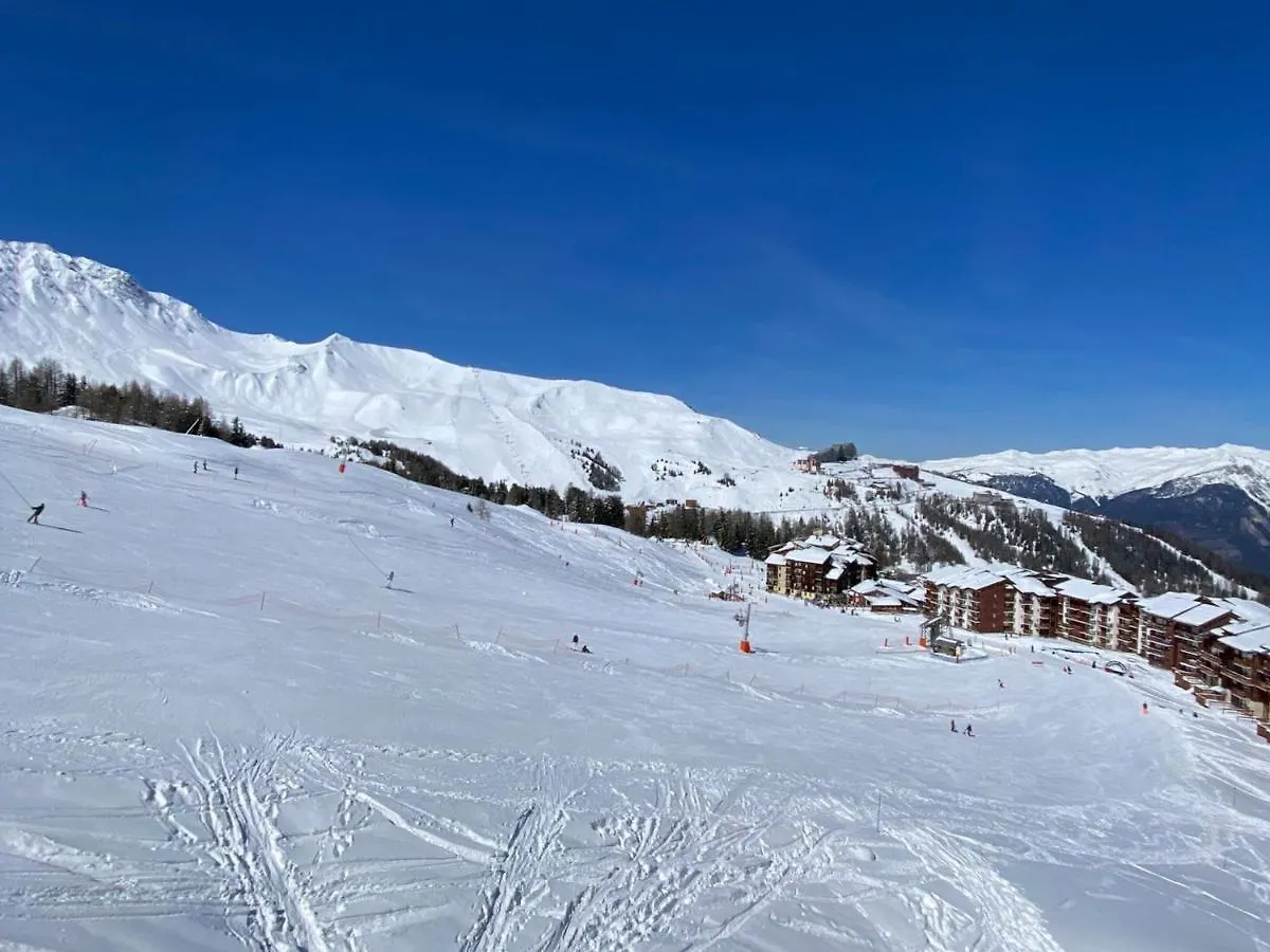 Duplex Calme Au Pied Des Pistes, Balcon Et Animaux Acceptes - Fr-1-455-232 Apartment La Plagne-Tarentaise 0*,