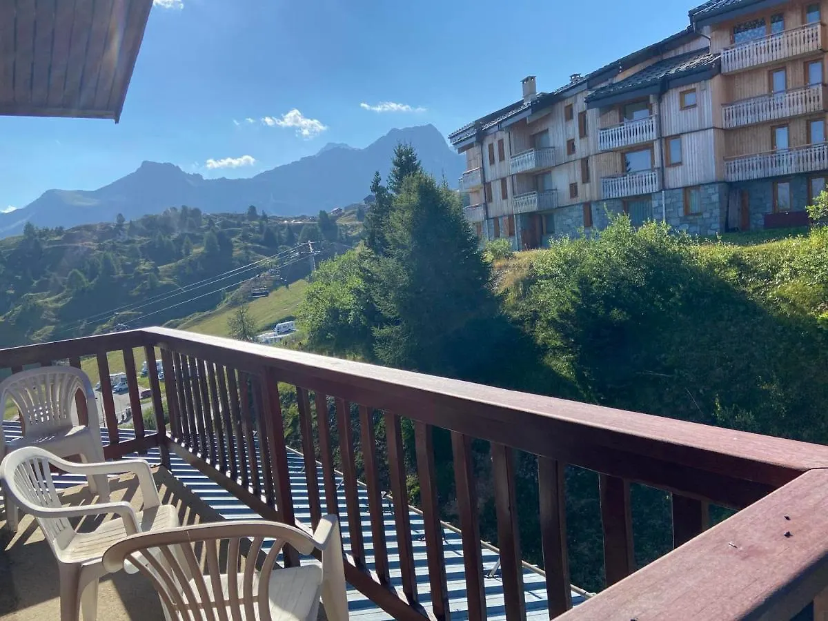 Duplex Calme Au Pied Des Pistes, Balcon Et Animaux Acceptes - Fr-1-455-232 Apartment La Plagne-Tarentaise
